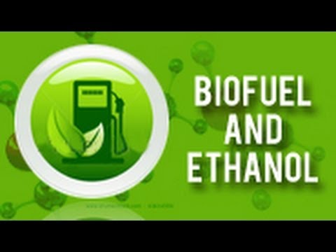 Biofuel and Ethanol