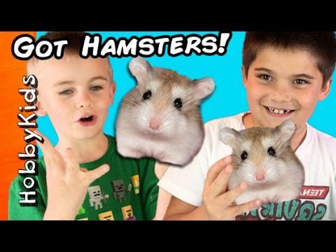 HobbyKids Buy REAL Hamsters! Escaped Pets at Home + Petco Toy Shopping Haul HobbyKidsTV