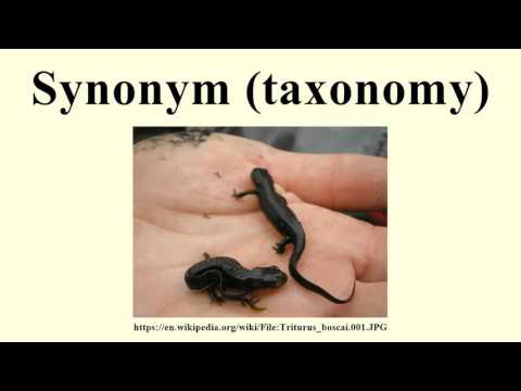 Synonym (taxonomy)