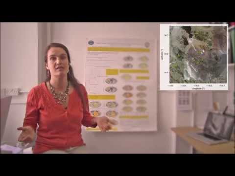 Global Seismology - Dr Ana Ferreira