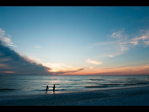 Sarasota: Culture, Fine Dining, Breweries & Beaches