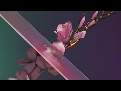 Flume - Never Be Like You feat. Kai