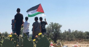 Demonstrators with the Palestinian flag in Ni'lin