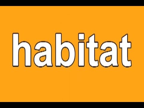 Animal Habitats | Habitats Song | Habitat | Habitat Song for Kids | Jack Hartmann