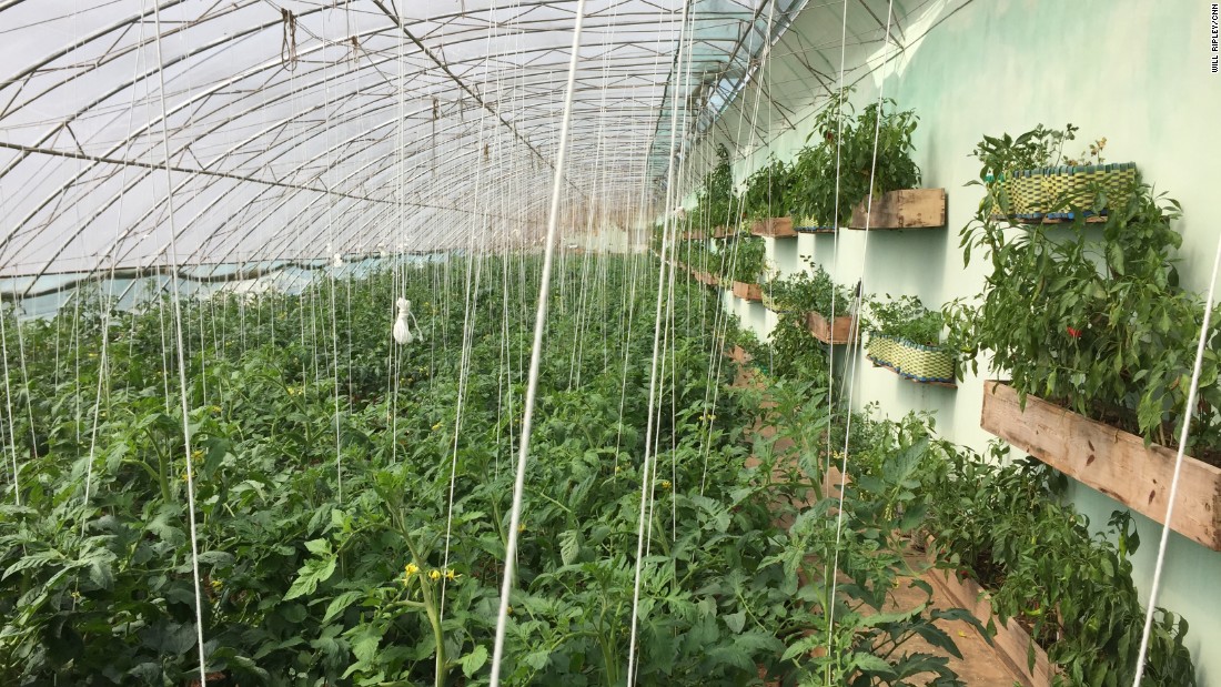 The farm is home to one of North Korea&#39;s first greenhouses. It was first visited by Kim Il Sung more than three decades ago, and more recently by his grandson, current leader Kim Jong Un. 