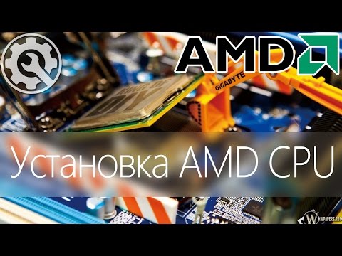 Как установить процессор AMD правильно самостоятельно AM3 / AM3+ / How to install AMD CPU