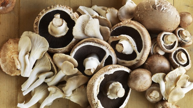 Chef Matt shares a tasty way to enjoy the mighty mushroom.