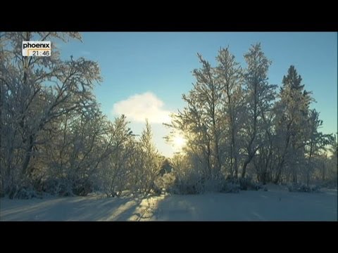 Wo die Kälte klirrt - Winterreise durch Schweden (Doku)