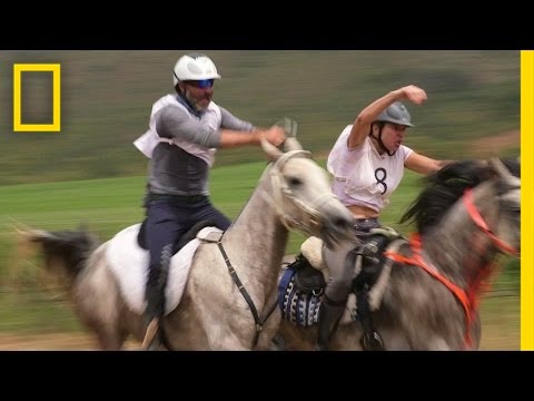 Grueling 80-Mile Horse Race Demands More Than Speed