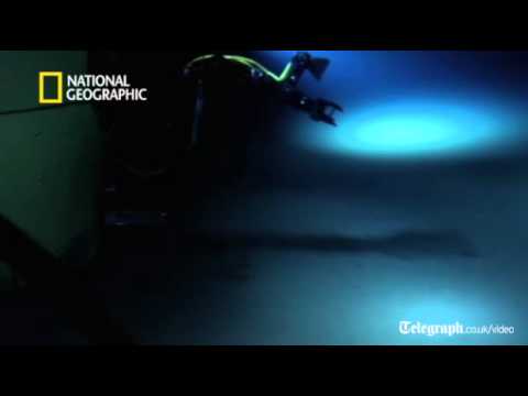 James Cameron's first footage from the deep sea floor