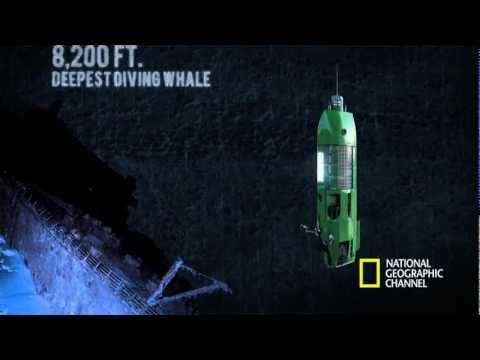 The Life Aquatic with James Cameron - Mariana Trench Dive