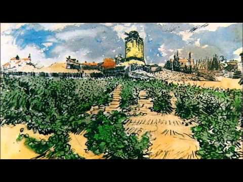 Vincent van Gogh - The story