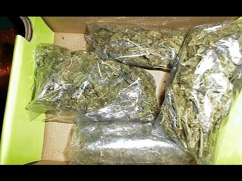 Drug Trafficking Through the Mail: The U.S. Postal System and the Illegal Drug Trade (2000)