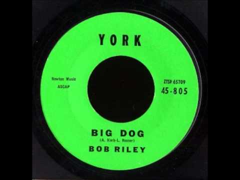 Bob Riley - Big Dog