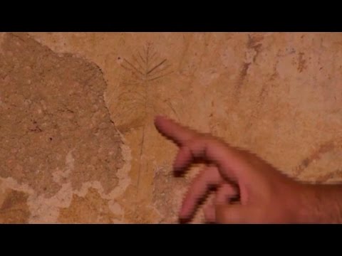 Ritual Bath whith grafity dicovered in Jerusalem - Credit: Eyecon, The Israel Antiquities Authority