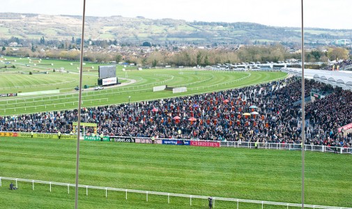 Cheltenham Festival Gold Cup – An event full of glitz, glamour, sophistication, and style