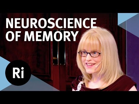 The Neuroscience of Memory - Eleanor Maguire