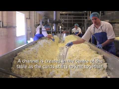 See how real, delicious Somerset Cheddar is made at Cricketer Farm - the home of Cheddar