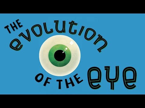 The evolution of the human eye - Joshua Harvey