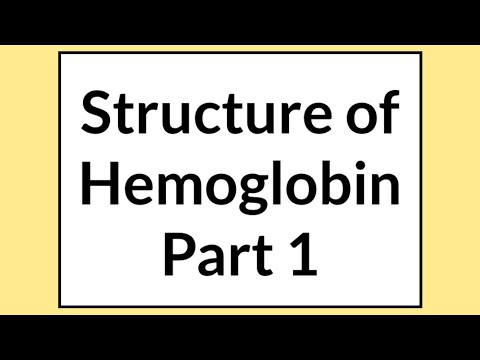 The Heme Group and Hemoglobin Part 1