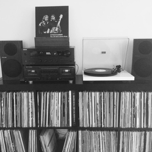 Fatou Seidi Ghali & Alamnou Akrouni spinning beautifully while their record sleeve sits on top of my new wood vinyl stand by @sandandstain // music available from @sahelsounds