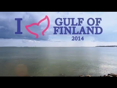 I love Gulf of Finland