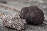 Black Cat Truffles for Fresh column.