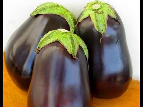 Eggplant 101