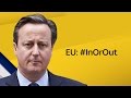 David Cameron - EU In Or Out Live