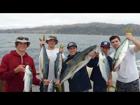 Freedom Sportfishing - Catalina Island - July 5th 2015 - Yellowtail