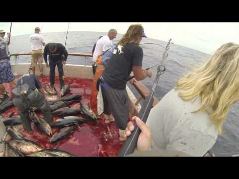 Independence Sportfishing - 7 day - Sept 14-21,2013  FULL VIDEO