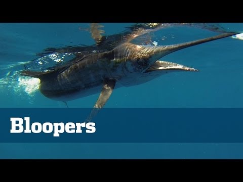 Fishing Bloopers; The Best & Worst Of Florida Sport Fishing TV