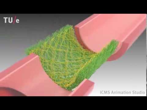 Instructive Supramolecar Scaffolds for In Situ Cardiovascular Tissue Engineering