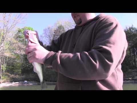 Bass Fishing at Cordell Hull Lake with Phillip and Kevin