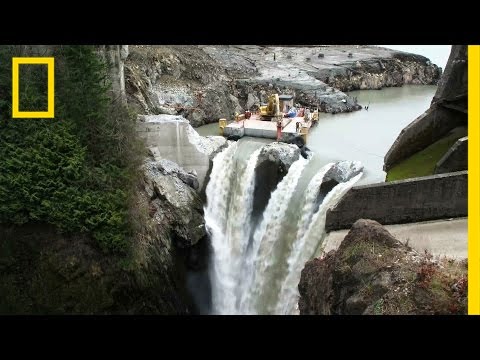 After Largest Dam Removal in U.S. History, This River Is Thriving