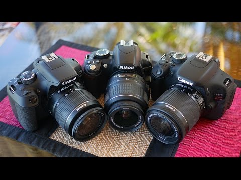 Best Beginner DSLR Cameras 2016