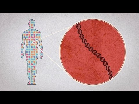 How to sequence the human genome - Mark J. Kiel