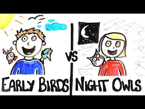 Early Birds vs Night Owls