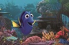 Dory (voiced by Ellen DeGeneres) explores the Great Barrier Reef in Pixar's sequel to <i>Finding Nemo</i>.