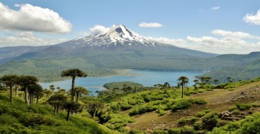 Hiking in Conguillo National Park, located in the Andes in Chile, was like being transported back to a prehistoric ...