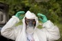 A municipal health worker prepares to spray insecticide on Monday in a junk yard in Joao Pessoa, Brazil, to combat the ...