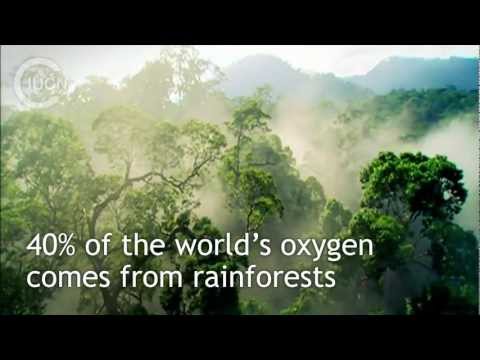 What is IUCN? (English)