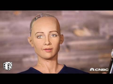 Most Advanced A.I. Robot Admits It Wants to Destroy Humans After Glitch During TV Interview