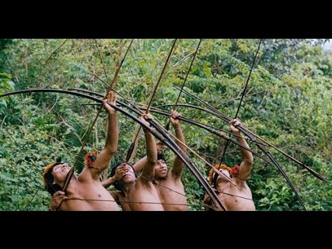 Gazelle indigenous in the Amazon jungle , monkeys and boar hunt