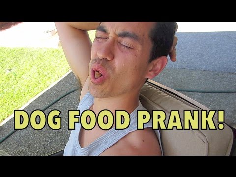 DOG FOOD PRANK! - July 12, 2014 - itsjudyslife daily vlog