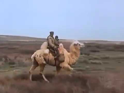 Nomads of Kazakhstan   Nature Documentary on the Wildlife of Kazakhstan Full Documentary