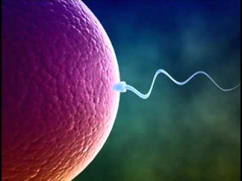 HEALING OVARIES WITH MEDITATION MUSIC - PROPER MENSTRUATION & ENHANCE FERTILITY & PREGNANCY