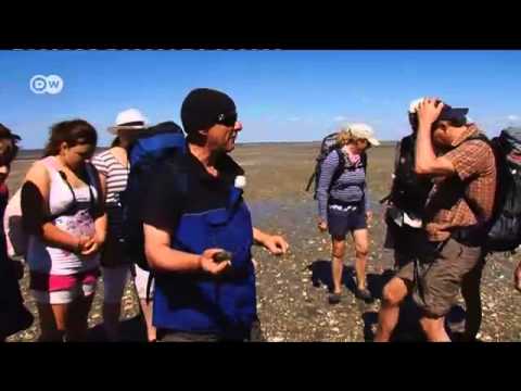 Wadden Sea Tidal Flats - with a Family from the USA | Discover Germany