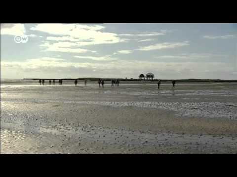 Wadden Sea in 60 secs | UNESCO World Heritage