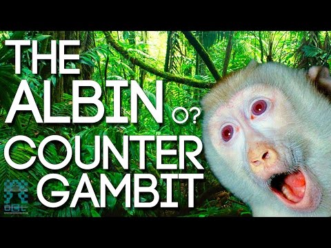 Tremendous pressure with The Albin Gambit! - IM Andrew Martin